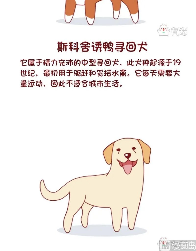 第54话 第5页