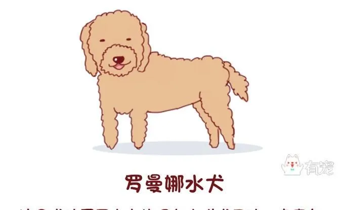第56话 第13页