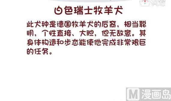 第58话 第3页