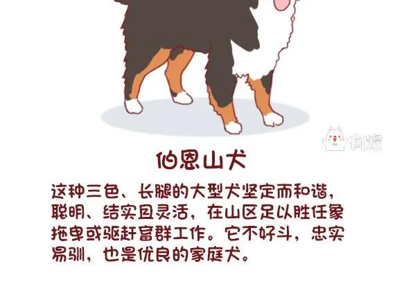 第58话 第10页