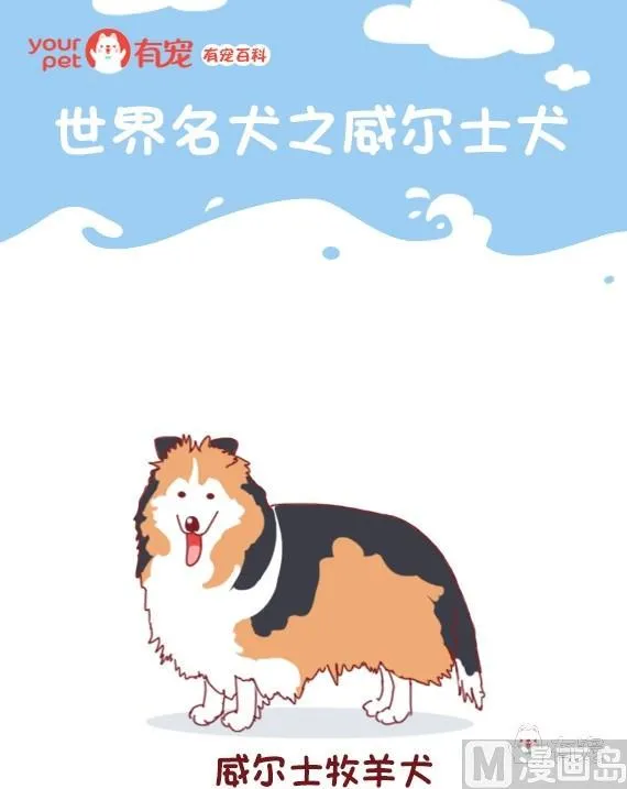第62话 第1页