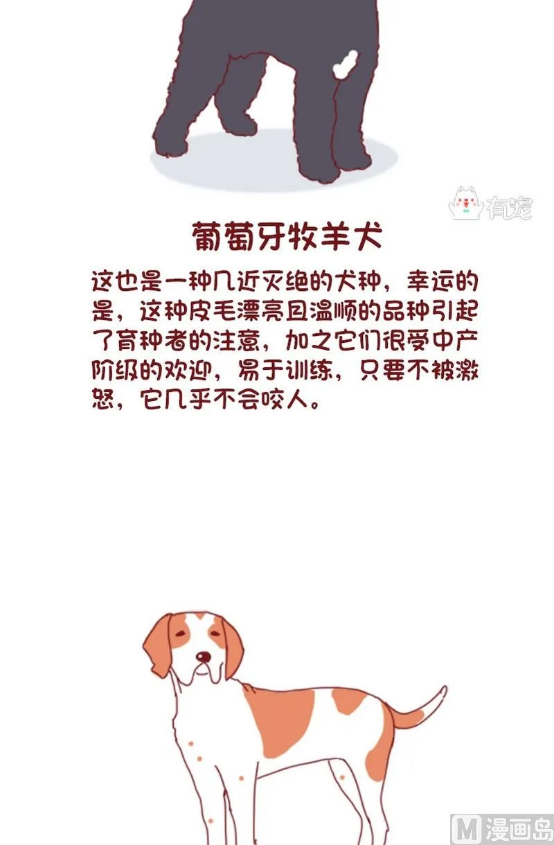 第66话 第4页