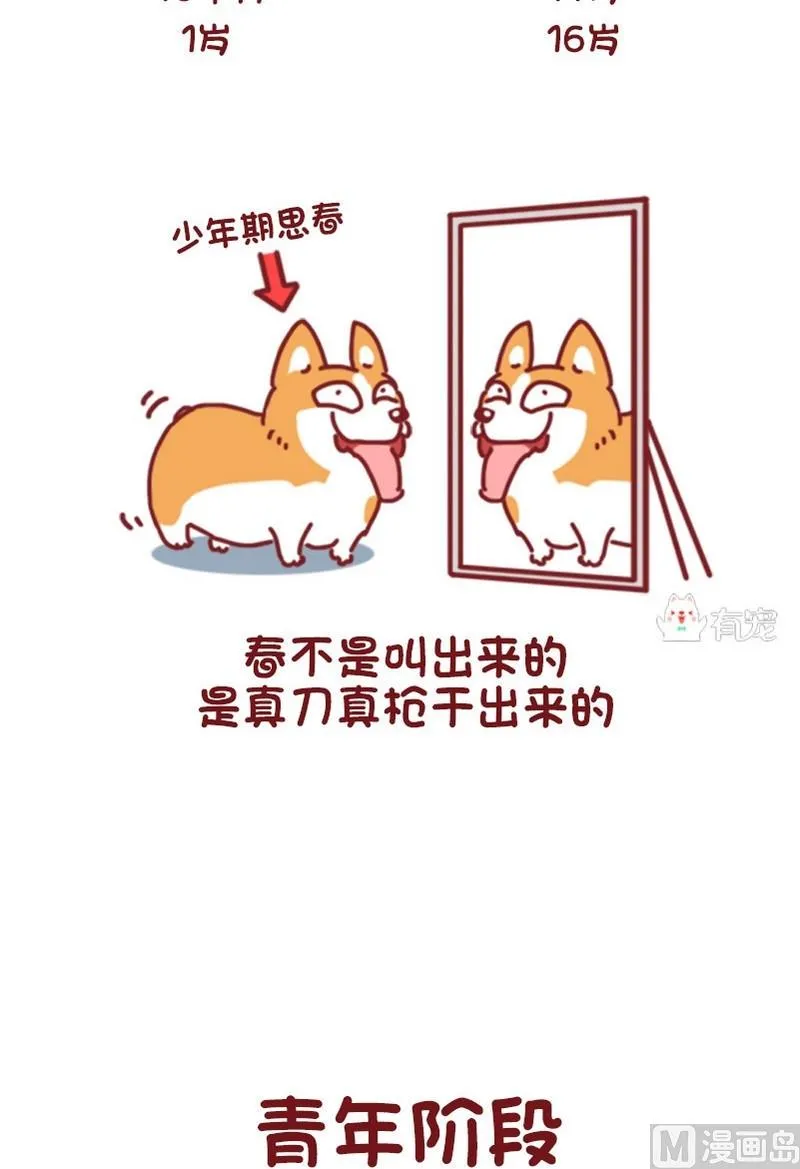 第68话 第4页
