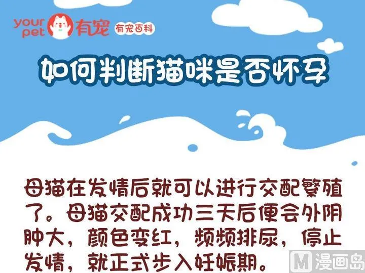 70如何判断猫咪是否怀孕 第2页
