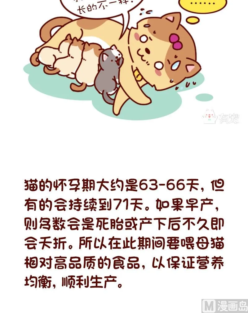 第71话 第2页