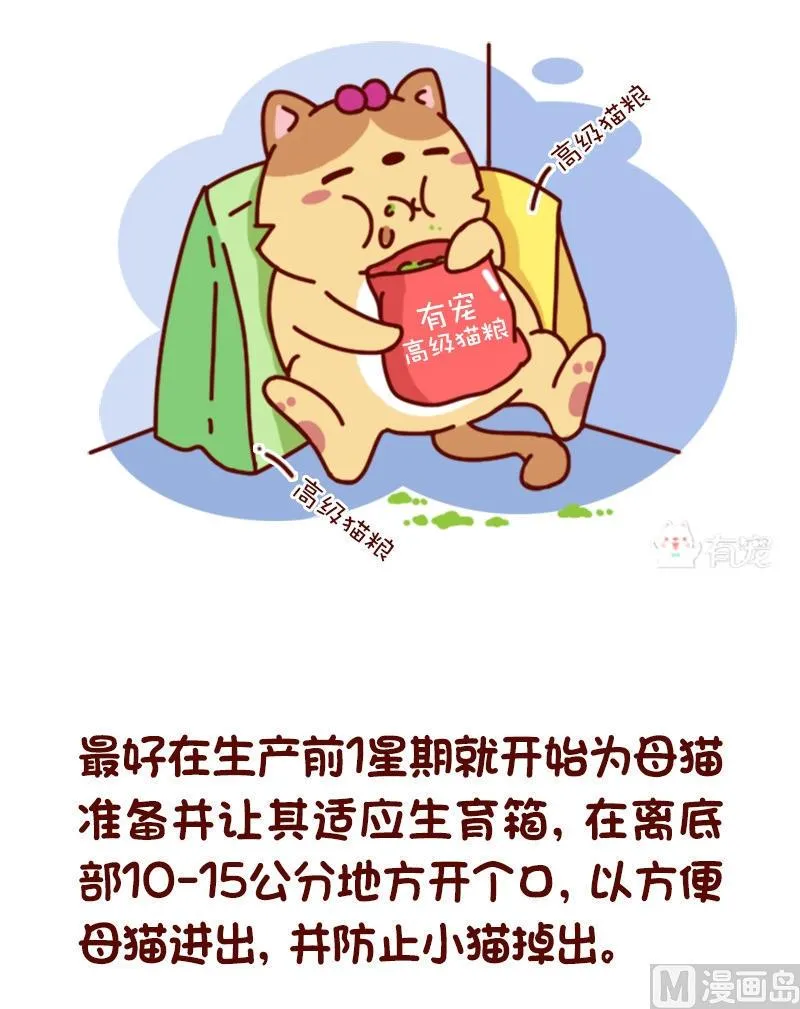 第71话 第3页