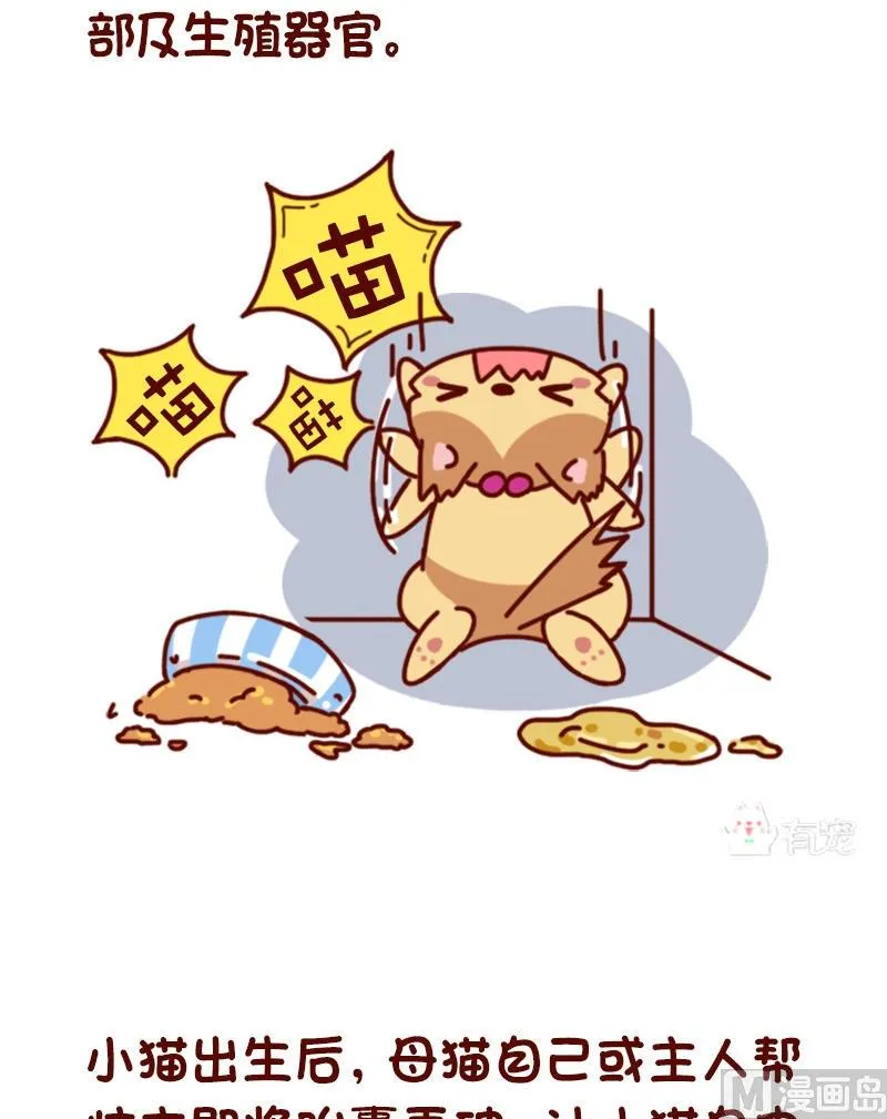 第71话 第5页