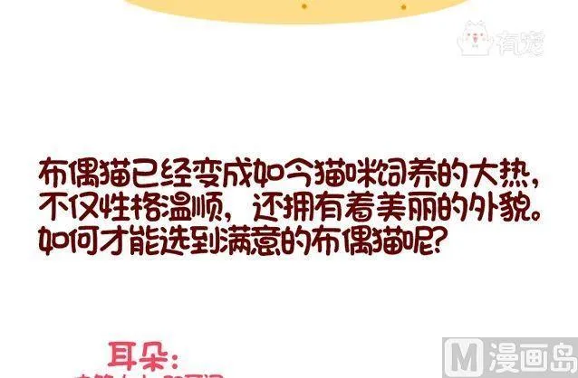 第91话 第15页