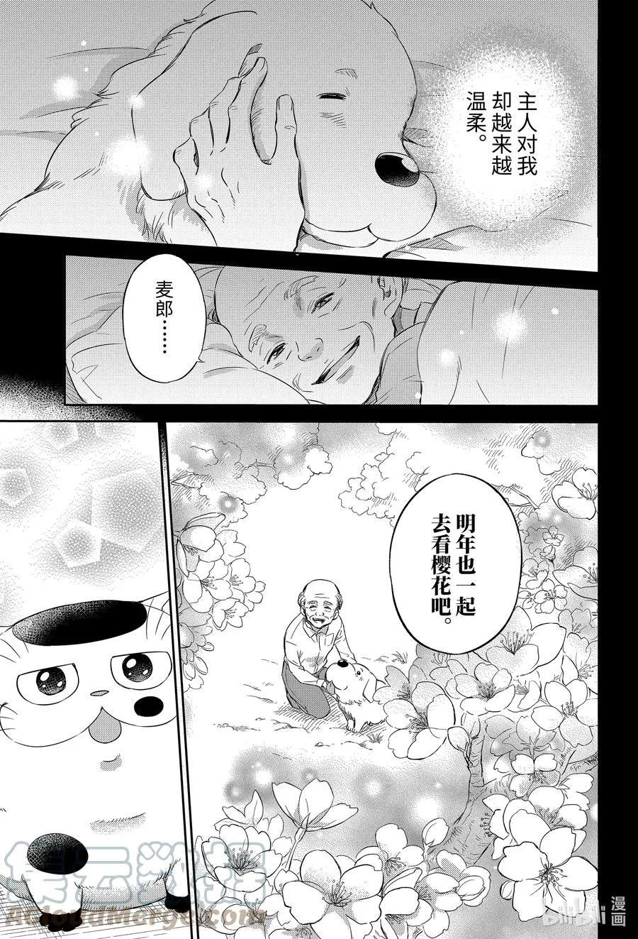 81 和爸爸的约定喵 第23页