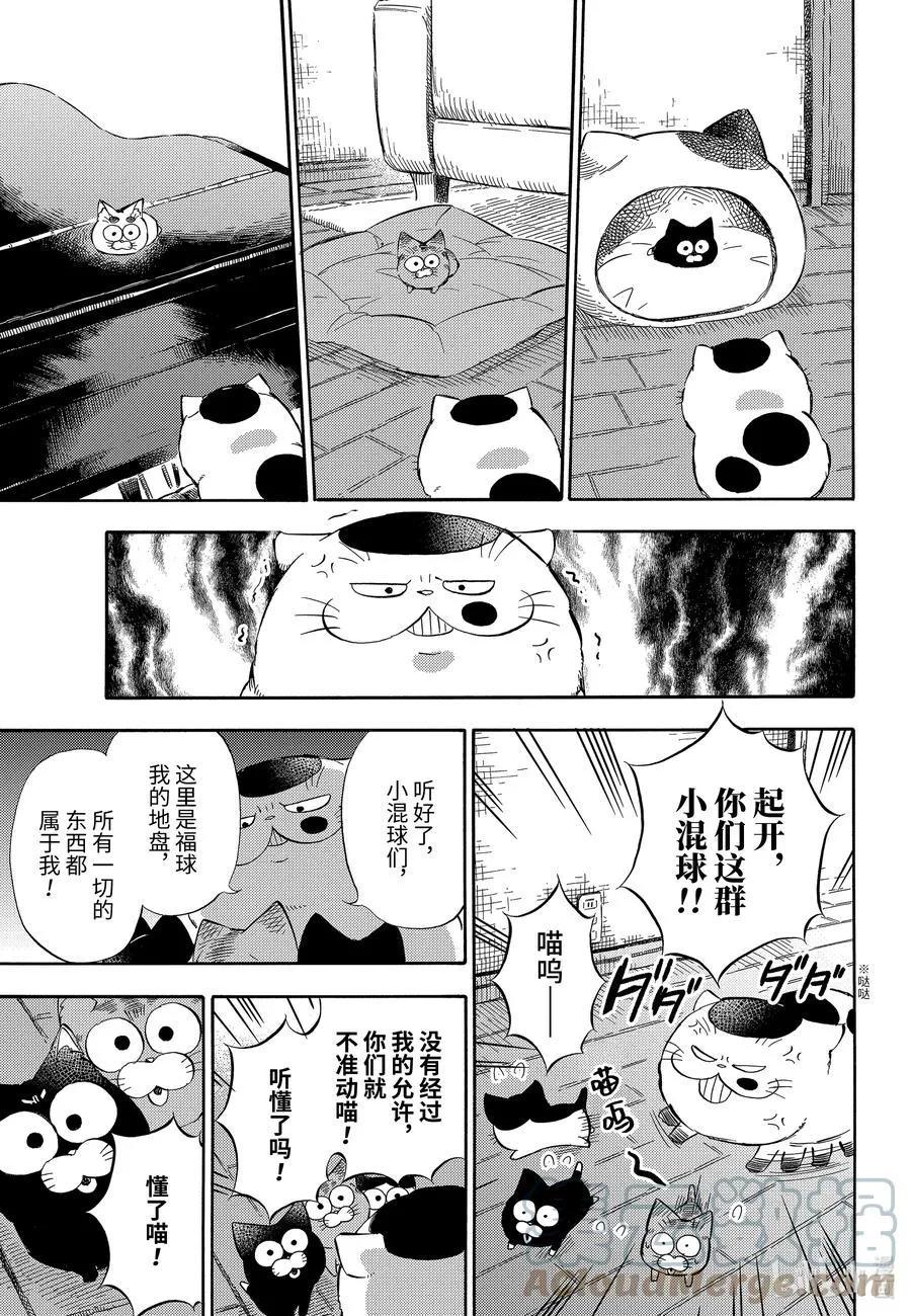 73 发生紧急情况喵 第3页