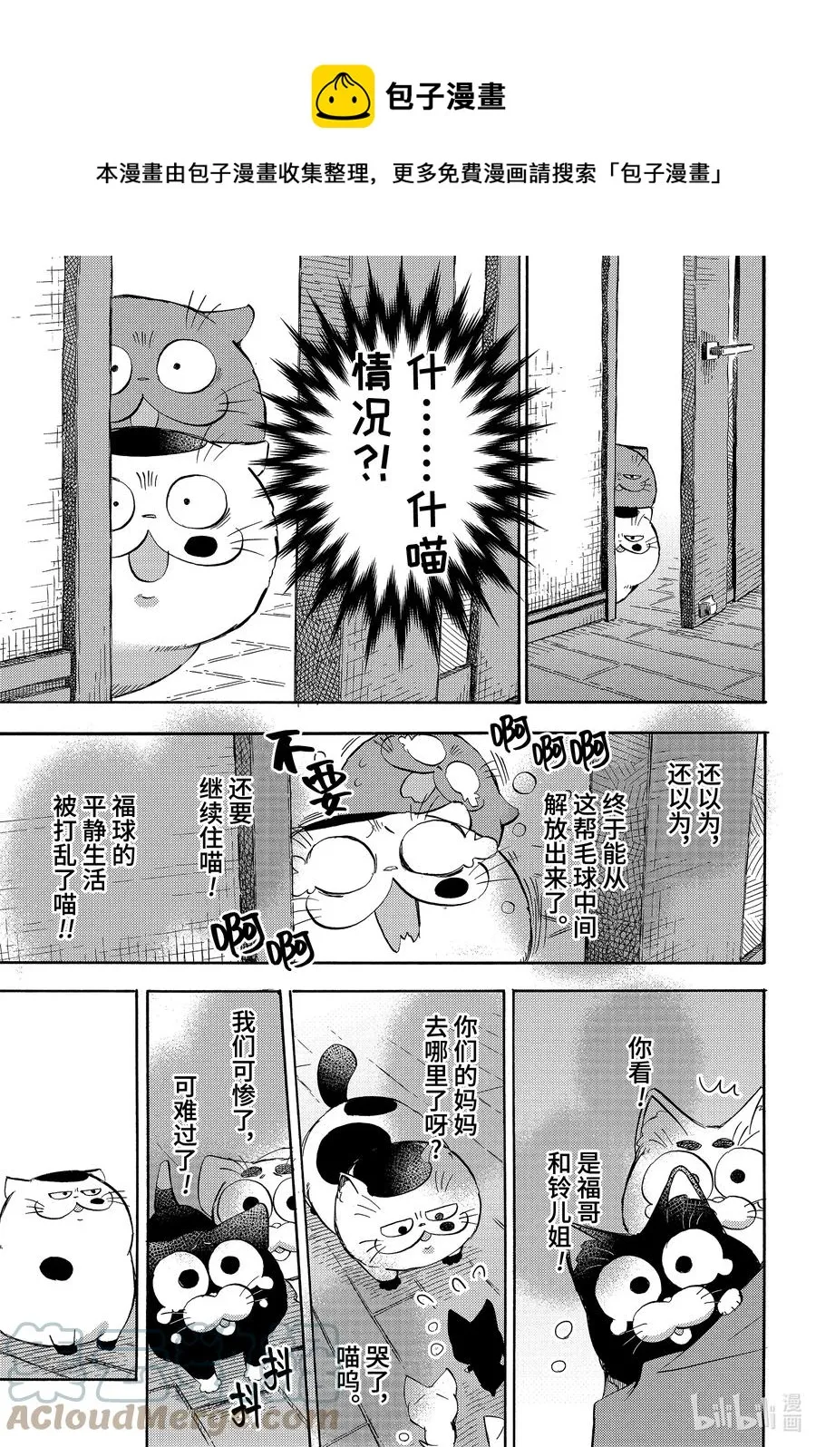 72 泪流满喵 第13页