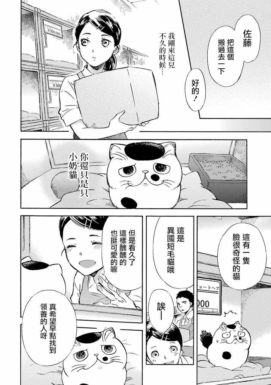 第21话 第2页