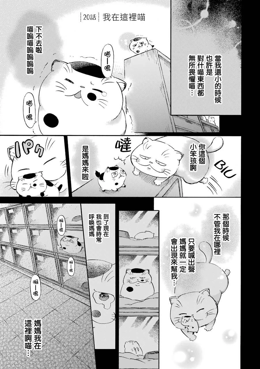 第27话 我在这里喵 第1页