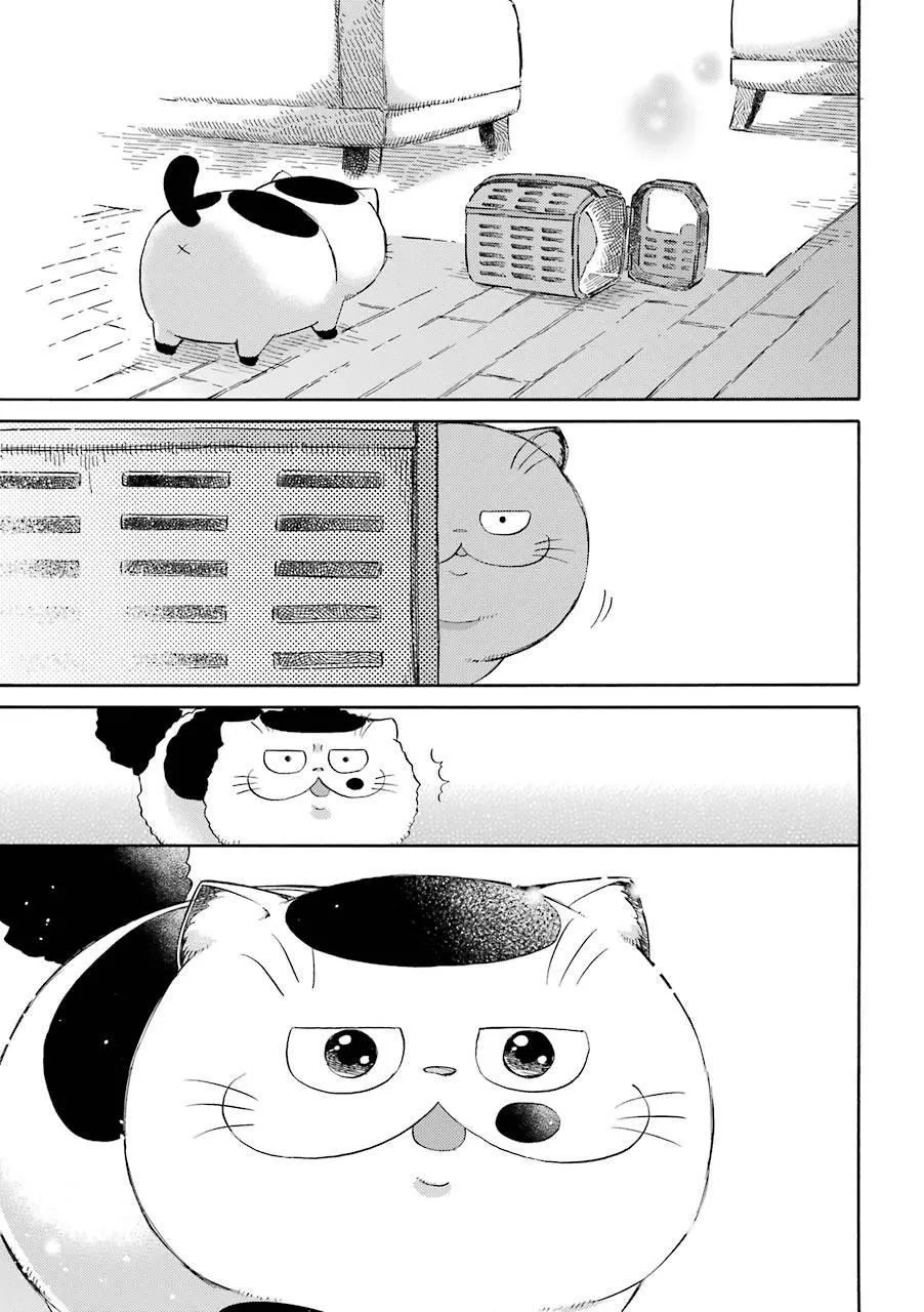 第42话 第5页