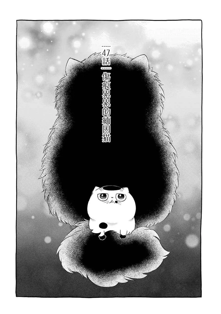 第47话 第1页