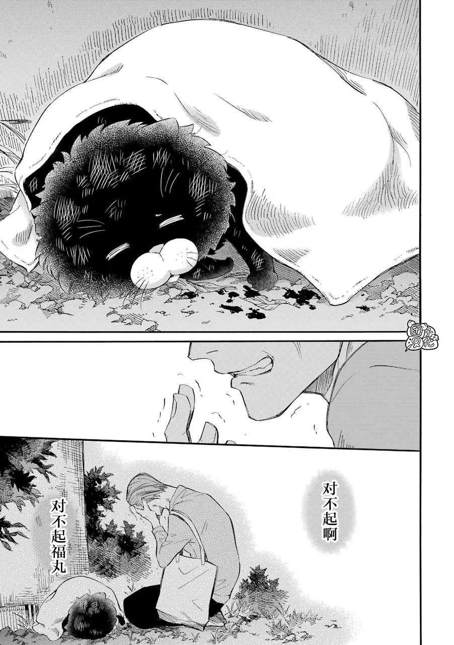 第49话 第13页
