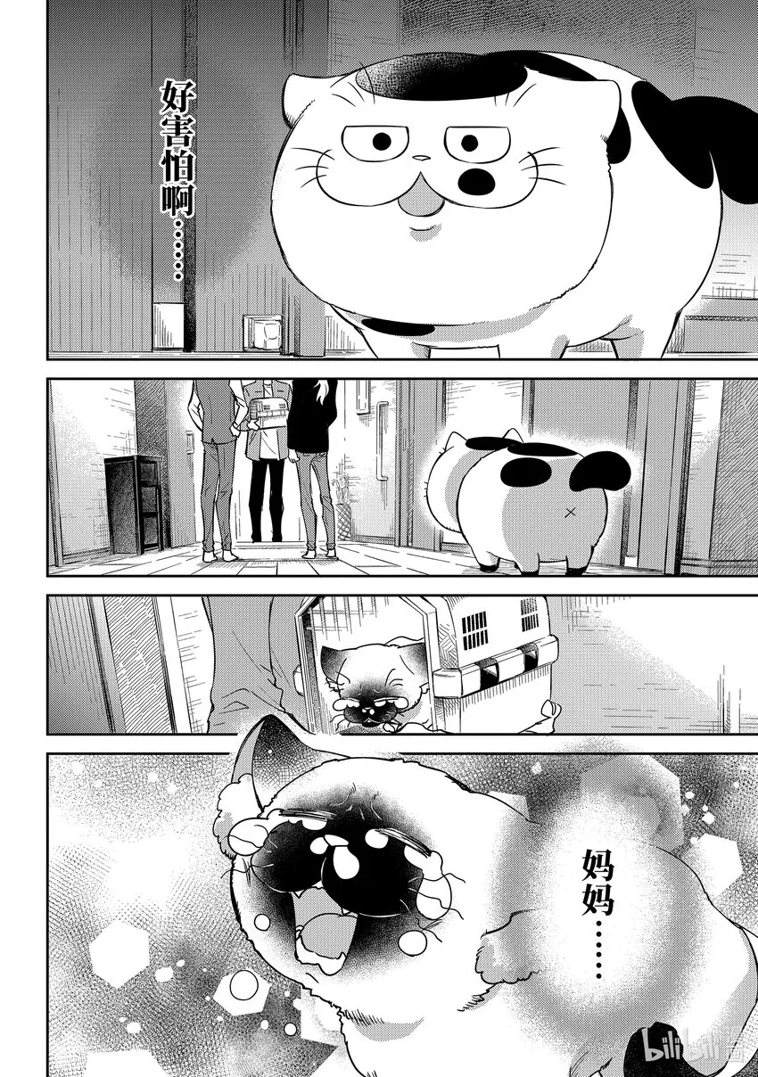 88 88话 第5页