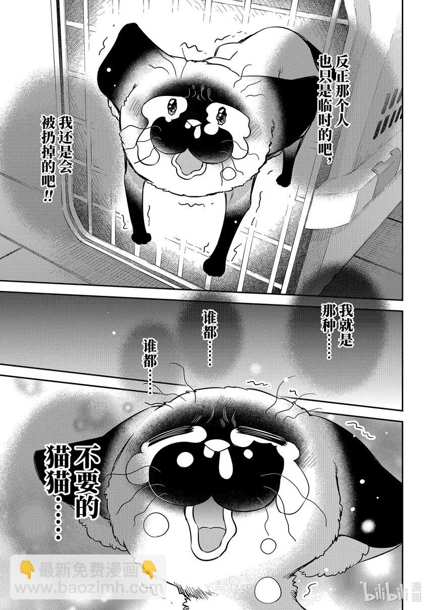 91比宇宙还宽广的东西喵 第13页