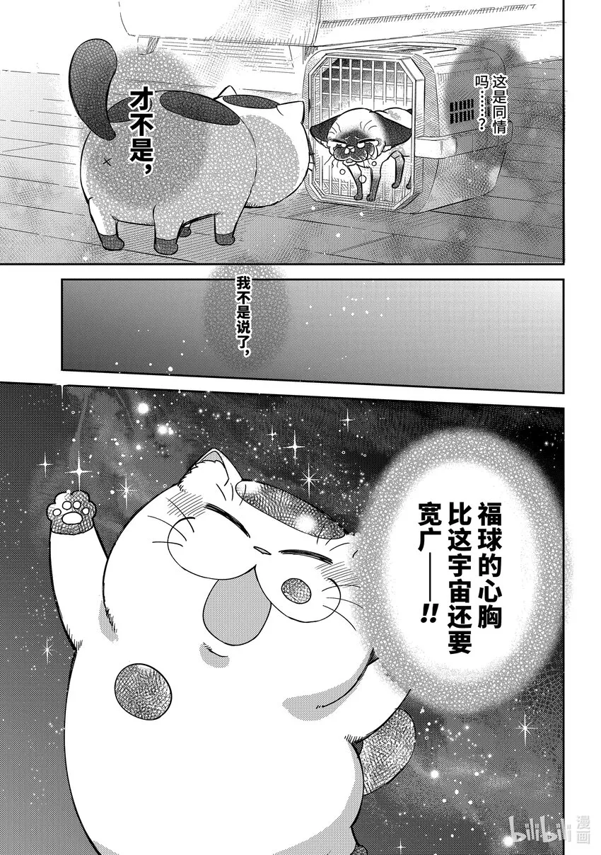 91比宇宙还宽广的东西喵 第17页