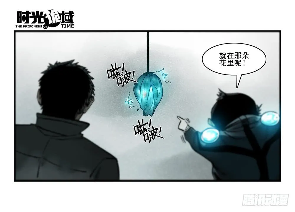 35集高级动物【上】 第13页