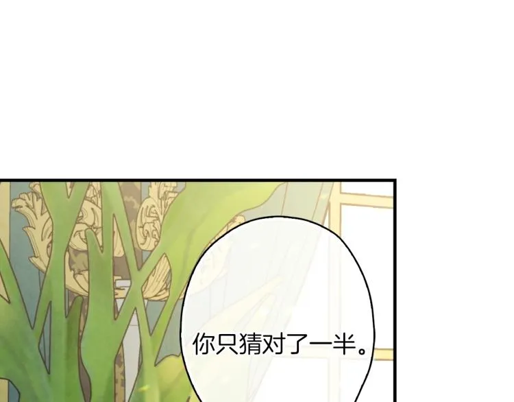 第56话 假扮露西亚被识破！ 第129页
