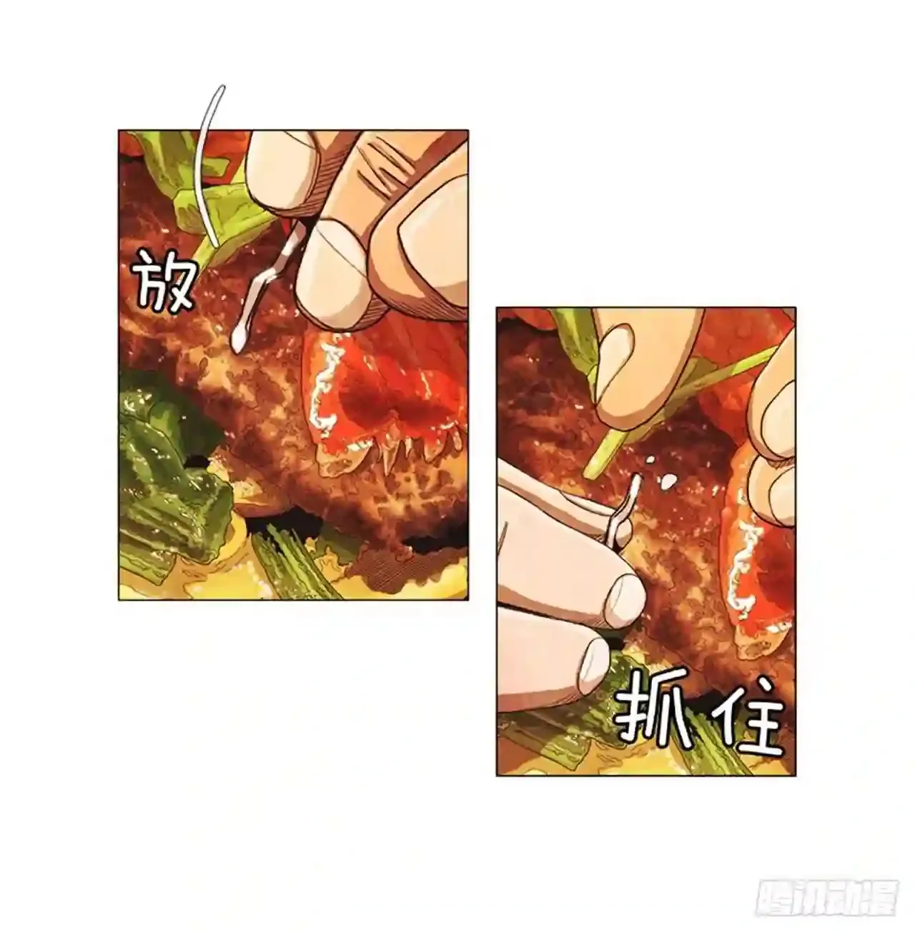 205.这是最后的机会 第51页