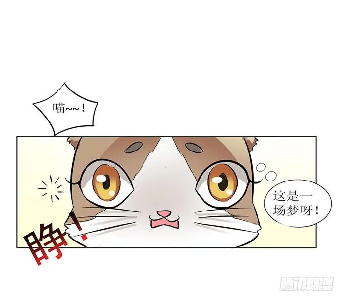 第008话 第32页