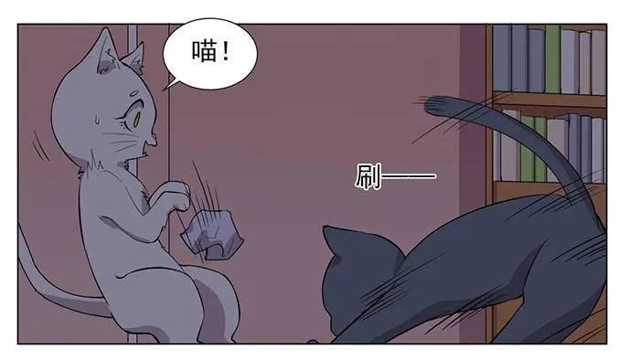 第033话 第11页