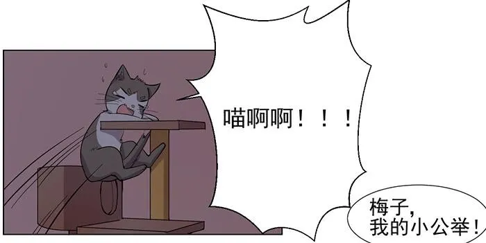 第033话 第13页