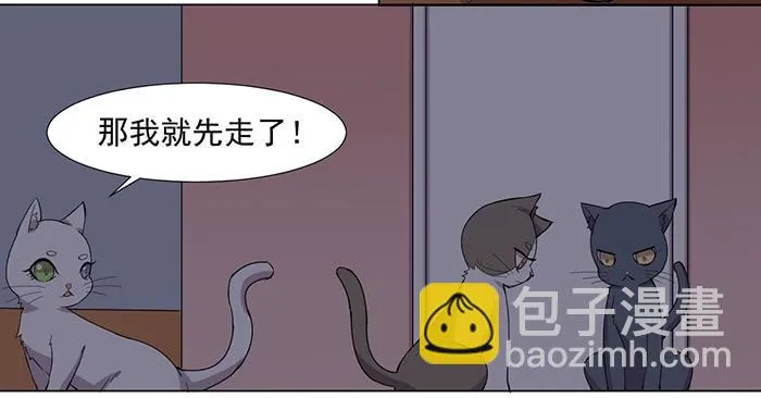 第033话 第19页