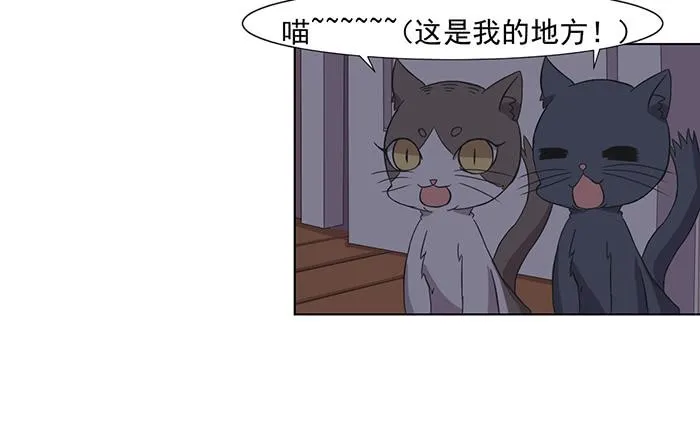 第033话 第39页