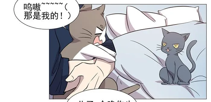 第037话 第43页