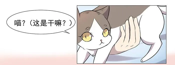 第037话 第68页