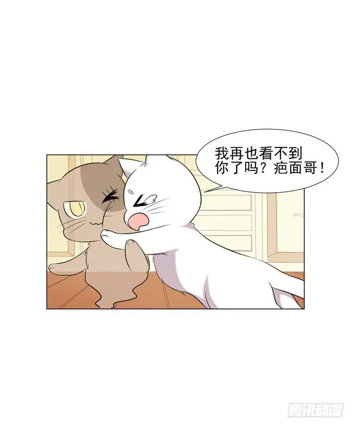 第044话 第51页
