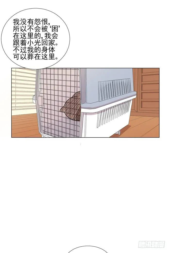 第044话 第55页