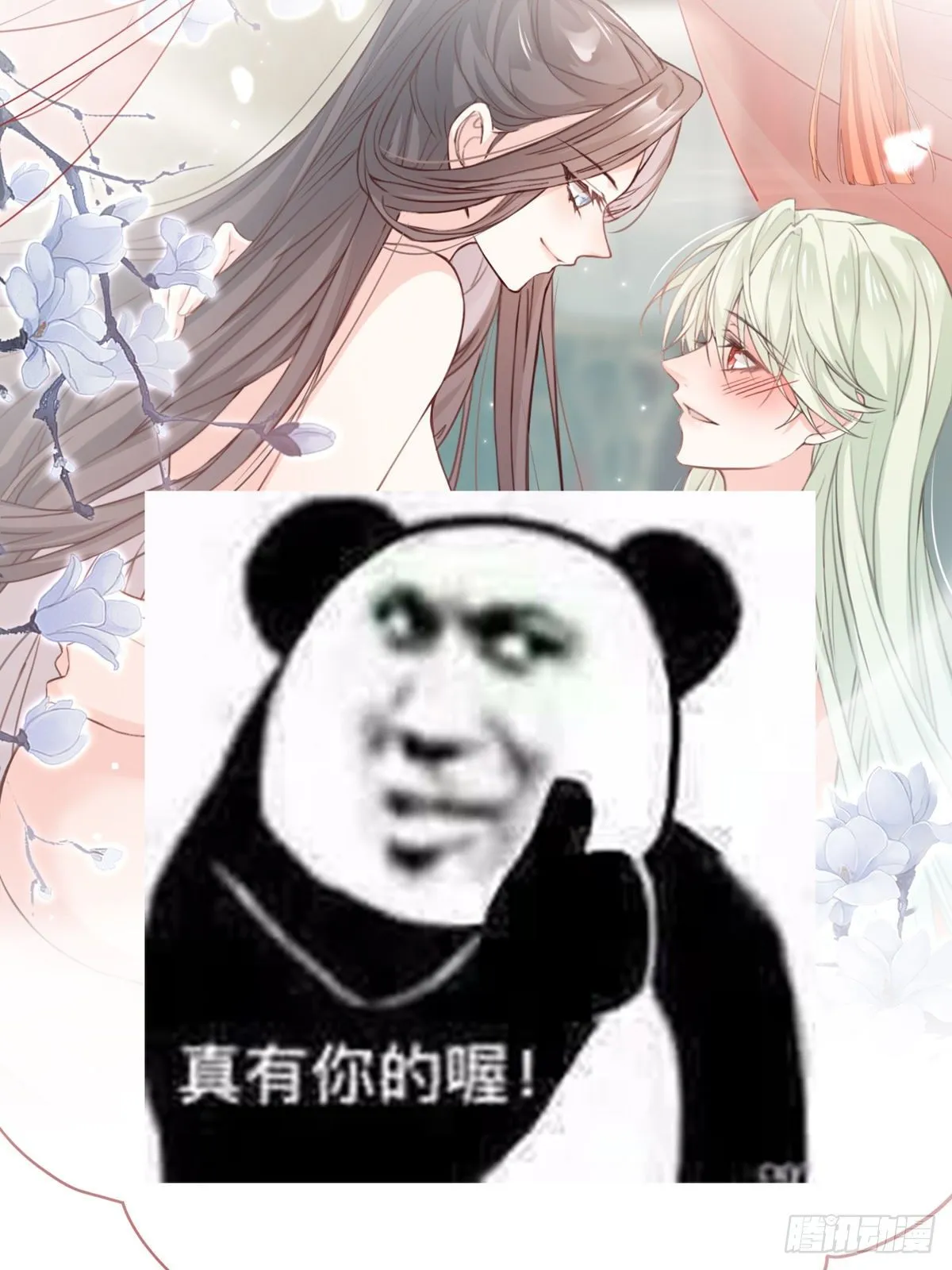 正式预告 第13页