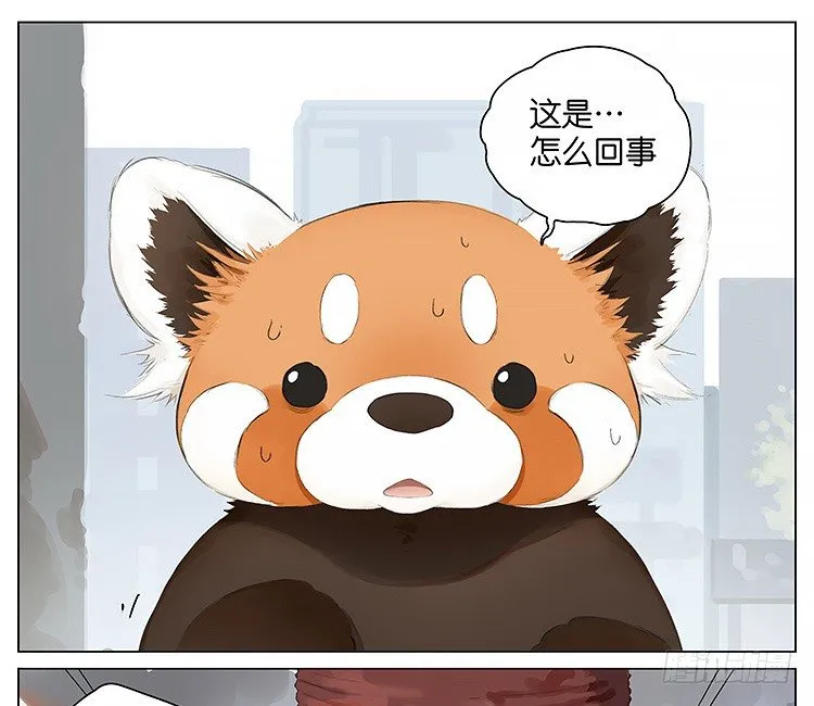 流浪猫 第1页