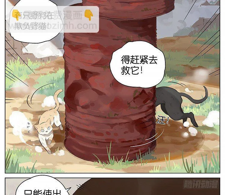 流浪猫 第2页