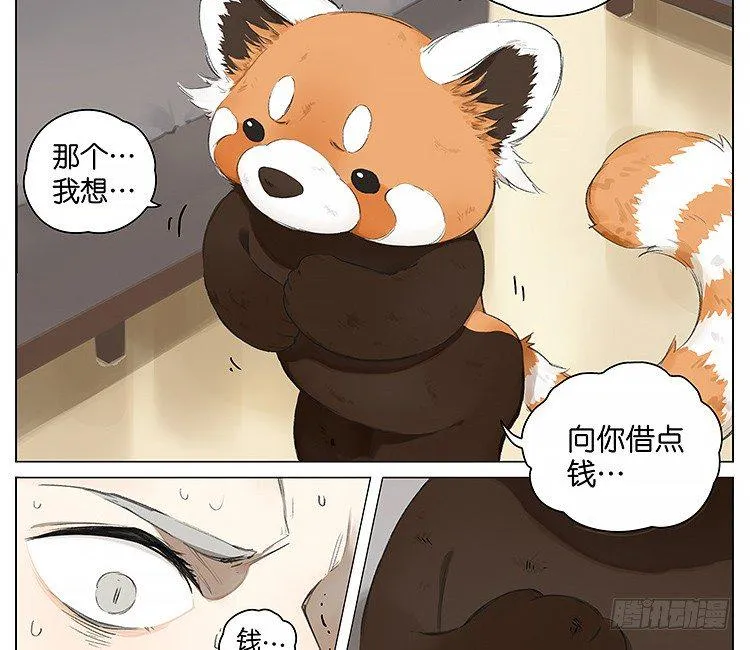 流浪猫 第6页