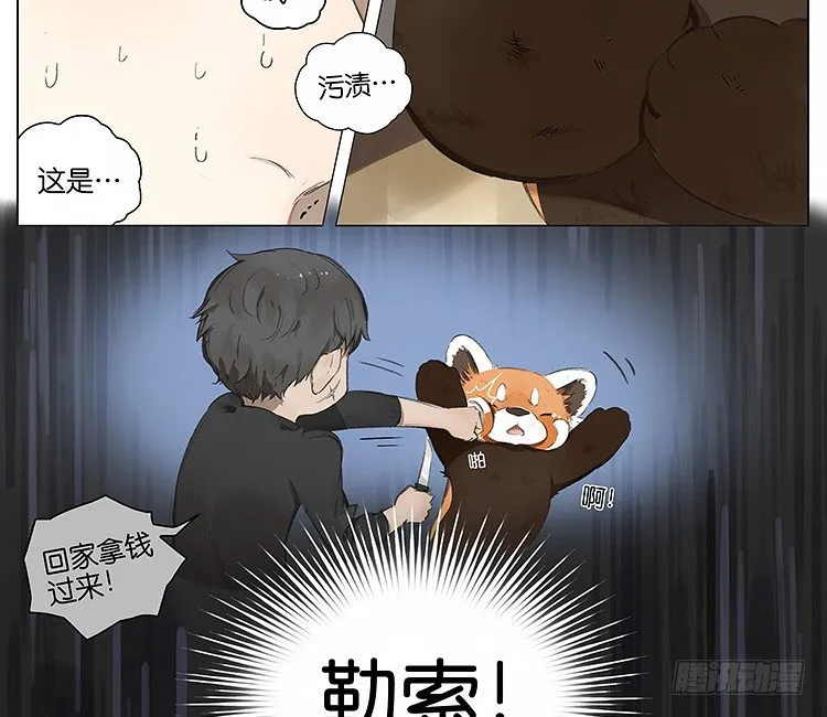 流浪猫 第7页