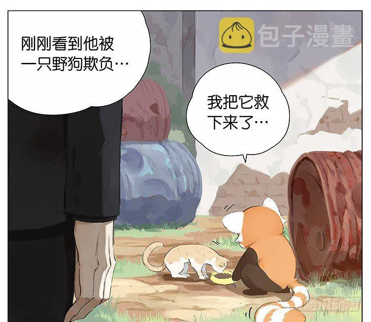 流浪猫 第10页