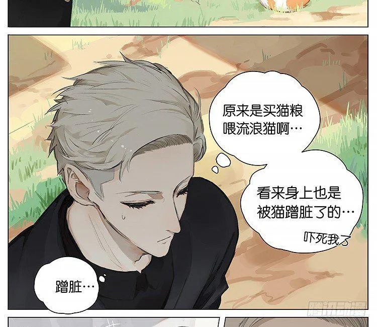 流浪猫 第11页
