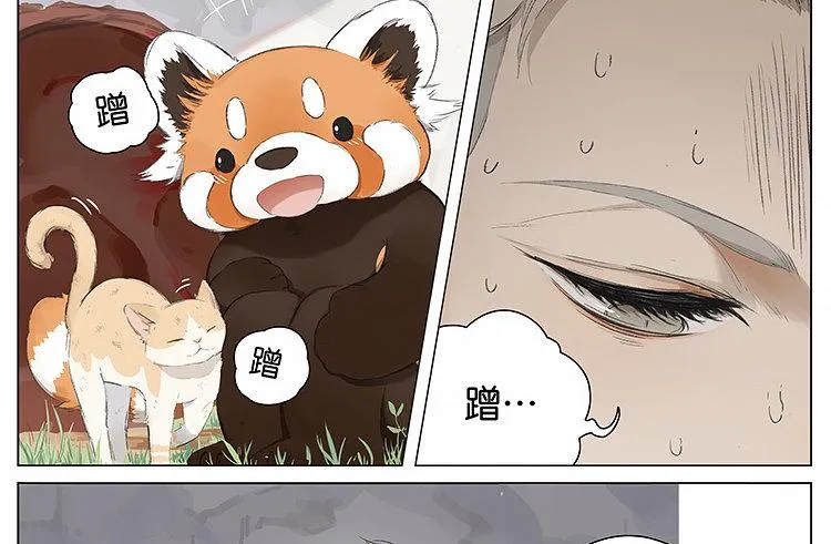 流浪猫 第12页