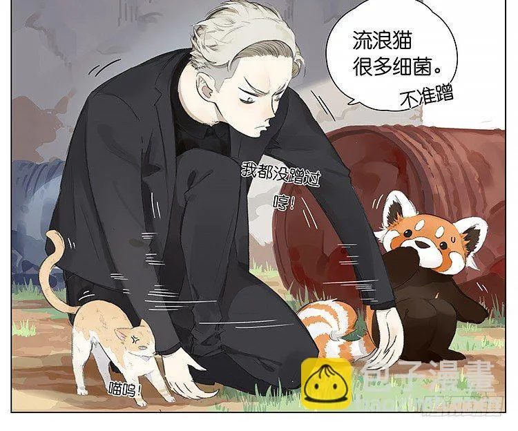 流浪猫 第13页