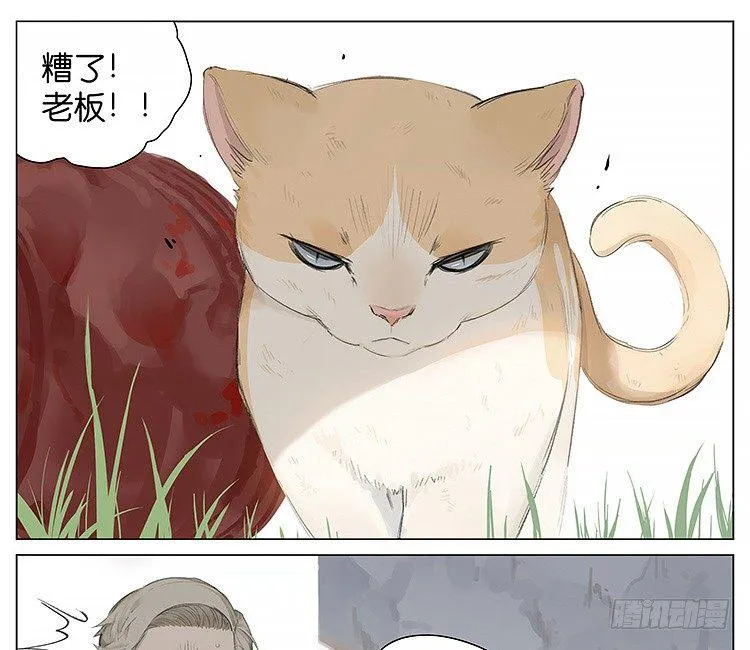 流浪猫 第14页
