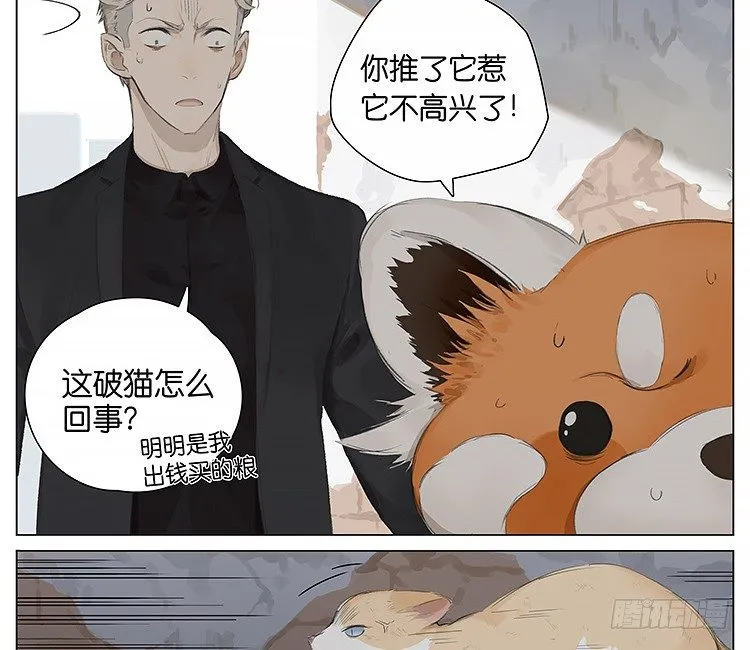 流浪猫 第15页