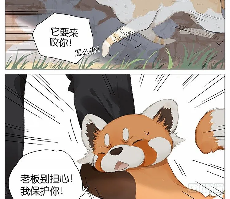 流浪猫 第16页