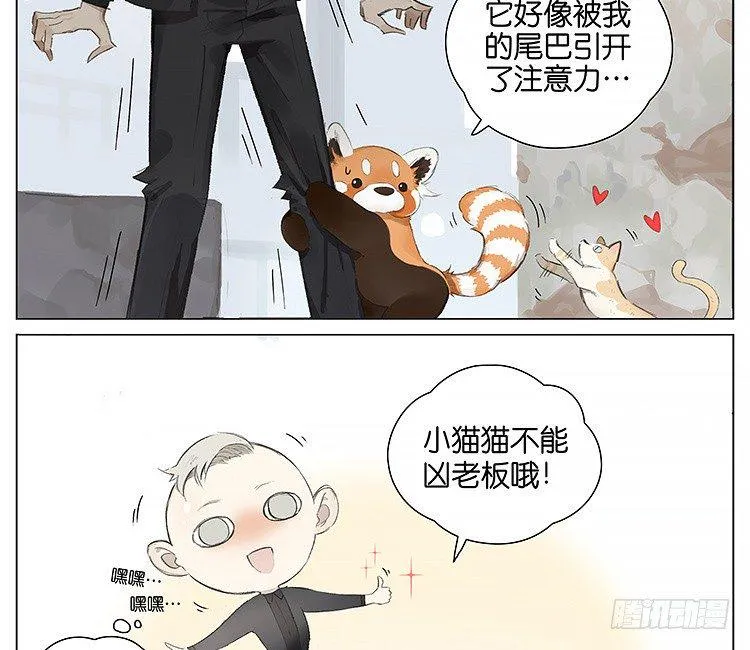 流浪猫 第18页