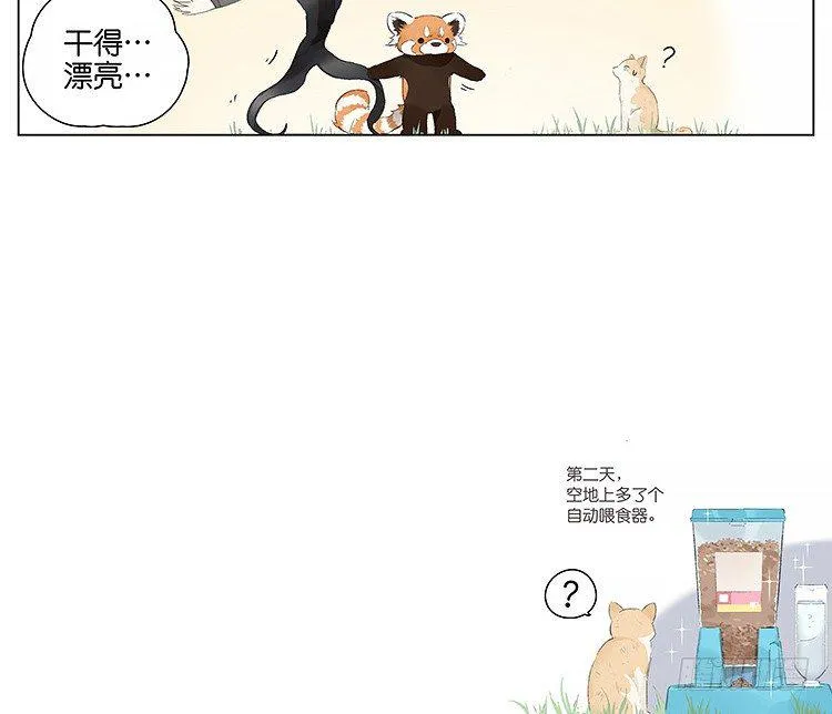 流浪猫 第19页
