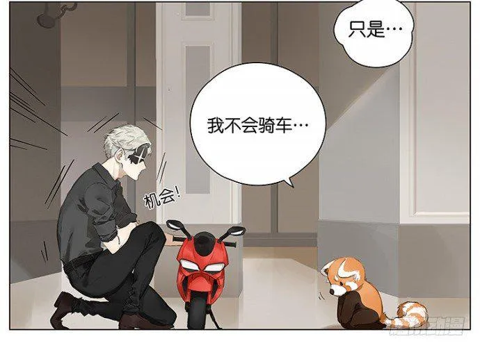 开车 第4页